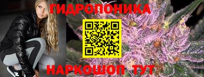 тгк Будённовск
