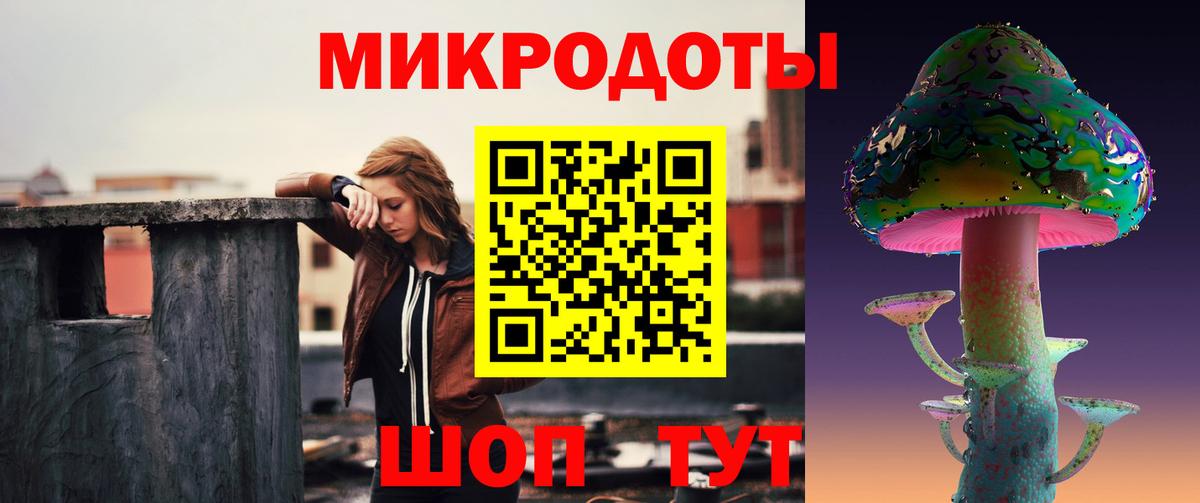 Галлюциногенные грибы Psilocybe Каменка